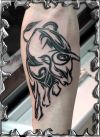 tribal bull tattoos